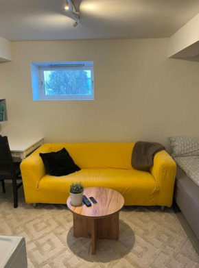 Central Apartment - Trondheim